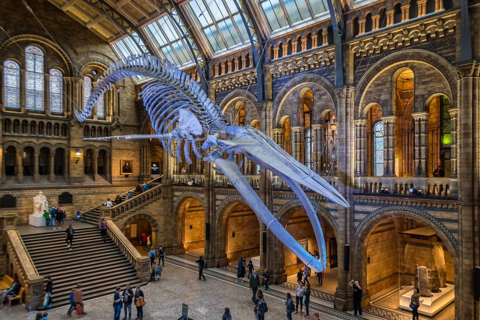 London: Guided Tour of the Natural History Museum - Key highlights worth knowing before you go