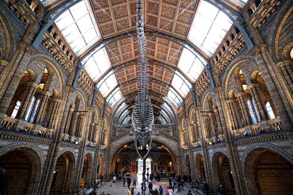 London: Guided Tour of the Natural History Museum - Getting Oriented at the Natural History Museum Entrance