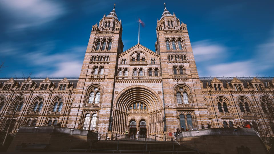 London: Guided Tour of the Natural History Museum - Dinosaur Gallery to Mammals Gallery: How the Tour Builds Evolution