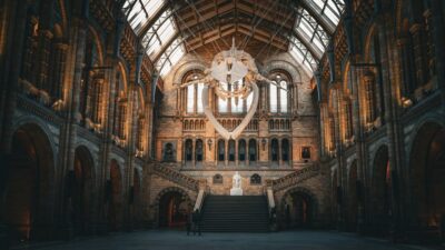London: Guided Tour of the Natural History Museum - Bag Check, the Giraffe Moment, and the Owen vs Darwin Hint