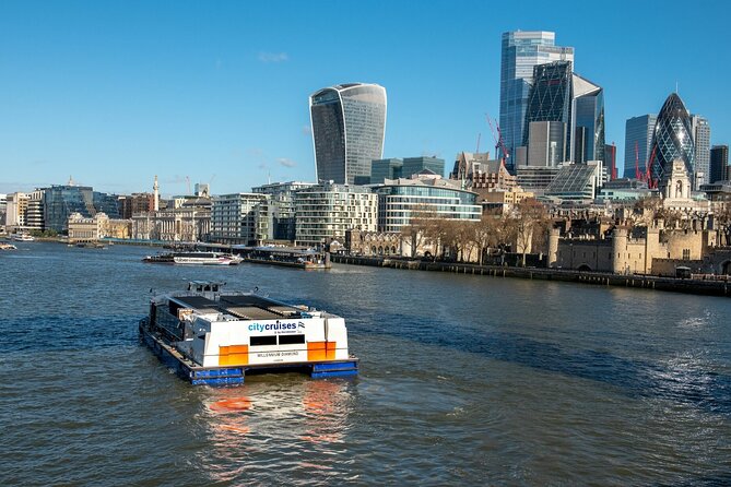 London: Harry Potter Walk, Hop-on Hop-off Bus Tour and Cruise - Thames River Cruise: Westminster to Tower Views Without the Grind