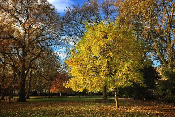 London Literary Private Walking Tour Of Bloomsbury - Private tour logistics: where it starts and how pickup fits
