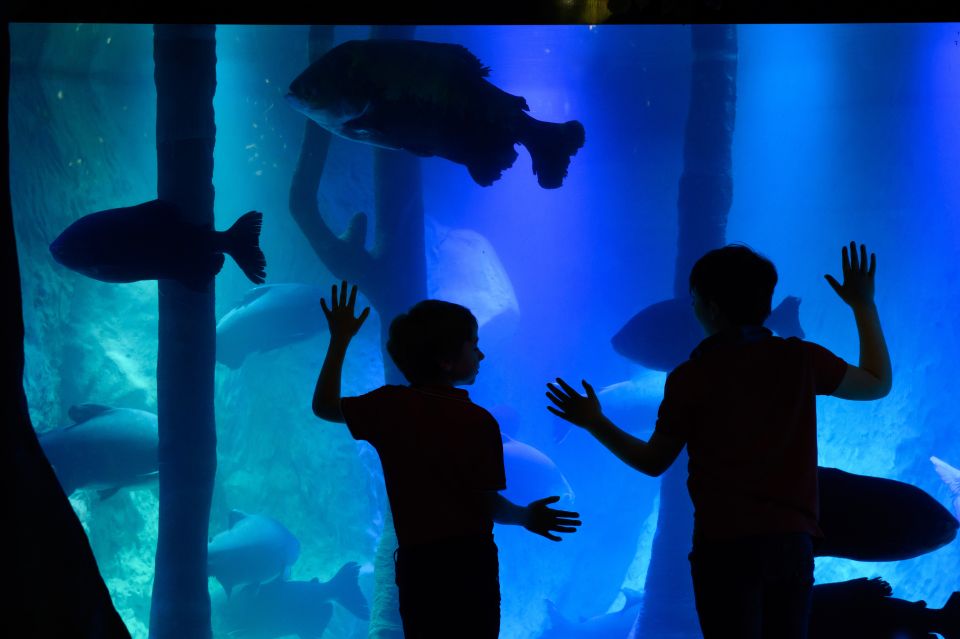 London: Madame Tussauds, SEA LIFE and London Dungeon Entry - Key highlights before you go