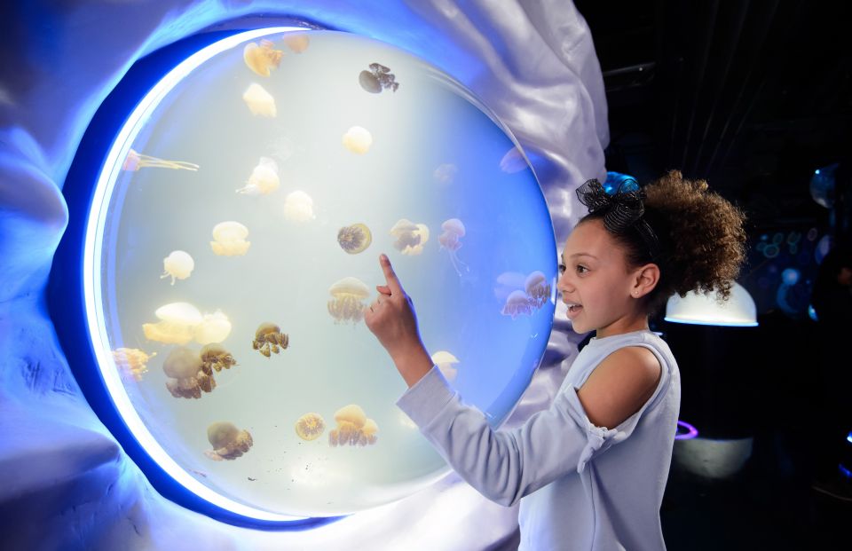 London: Madame Tussauds, SEA LIFE and London Dungeon Entry - How the 90-day combo really works (and why timing matters)