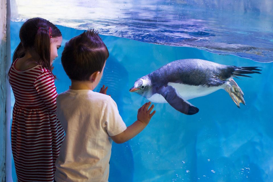 London: Madame Tussauds, SEA LIFE and London Dungeon Entry - SEA LIFE London: 14 themed zones across 3 floors