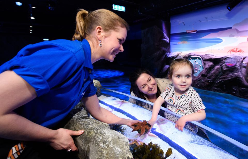 London: Madame Tussauds, SEA LIFE and London Dungeon Entry - Who this combo suits best (and who should rethink it)
