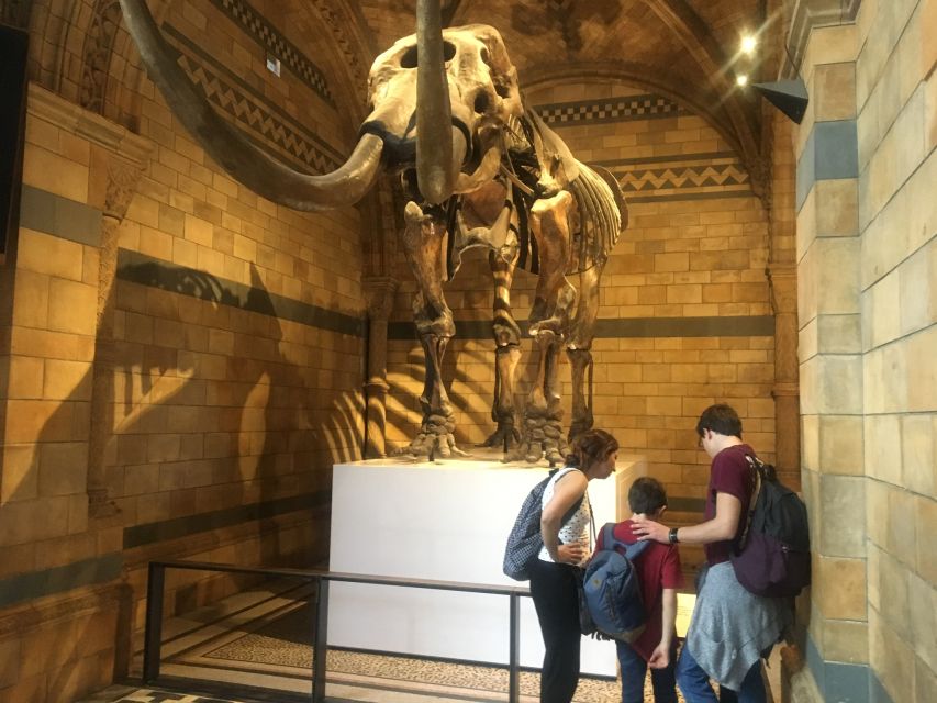 London: Natural History Museum Entry Ticket and Guided Tour - Finding Your Guide at South Kensington (and Not Wasting Time)