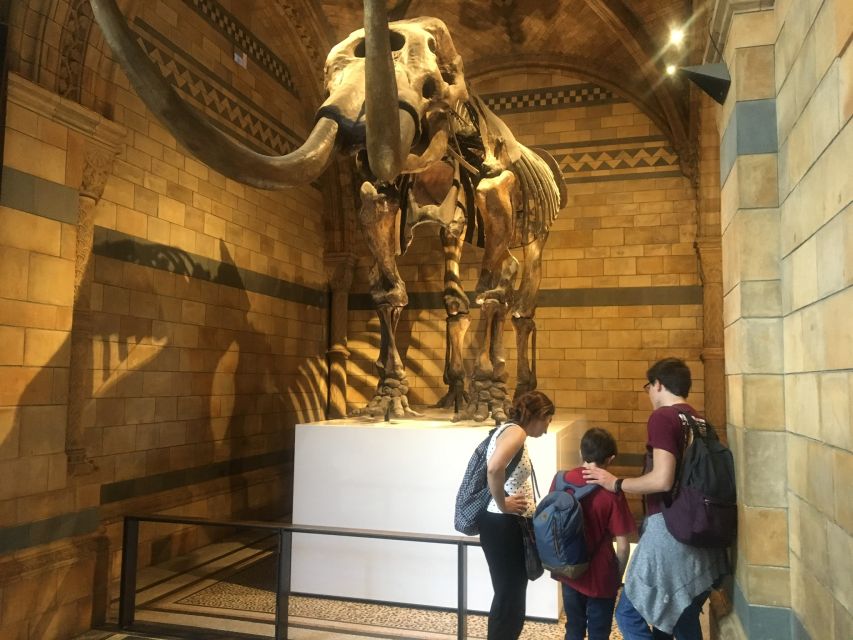 London: Natural History Museum Entry Ticket and Guided Tour - Volcanoes, Earthquakes, and How Earth’s Story Gets Explained