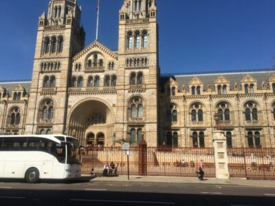 London: Natural History Museum Entry Ticket and Guided Tour - Central Hall to Hintze Hall: Dinosaurs and the 25-Meter Blue Whale
