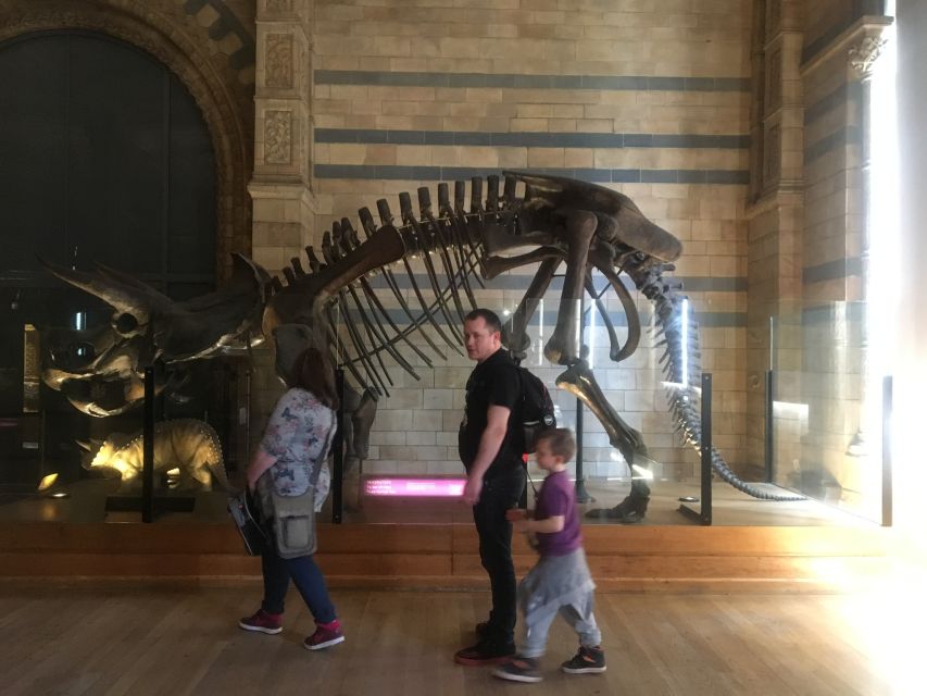 London: Natural History Museum Entry Ticket and Guided Tour - Who This Tour Suits (and Who Should Consider Going Solo)
