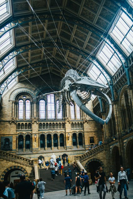 London: Natural History Museum Guided Tour - Key Highlights You’ll Actually Remember