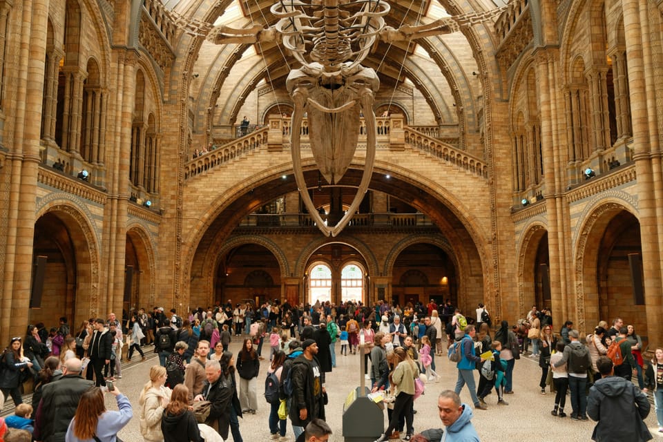 London: Natural History Museum Guided Tour - Why This Natural History Museum Tour Fits London Time