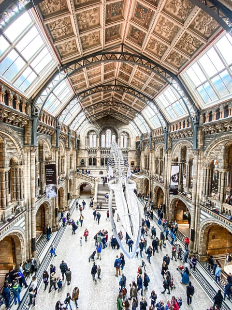 London: Natural History Museum Guided Tour - Fossils First: Iguanodon Teeth and the Dodo That Grabs You