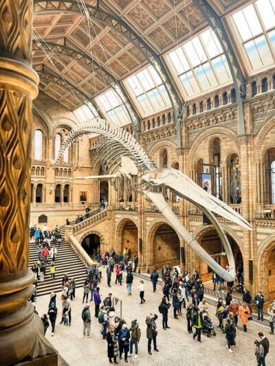 London: Natural History Museum Guided Tour - Walking the Museum Like a Pro: 80 Million Specimens, One Route