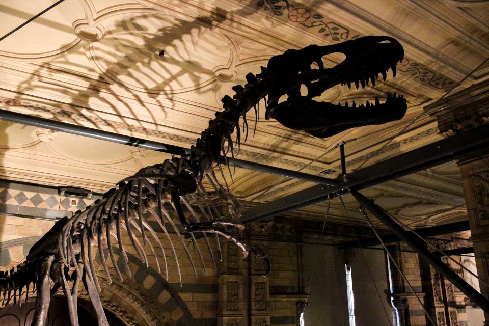 London: Natural History Museum Guided Tour - Pompeii Casts and the Dark Side of Curiosity
