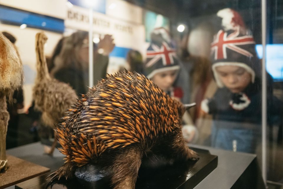 London: Natural History Museum Private Guided Family Tour - A Pace Built for Families (Restroom Stops Included)