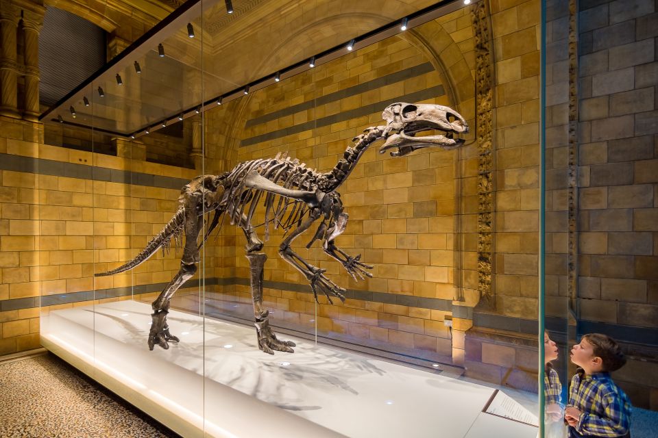 London: Natural History Museum Private Guided Family Tour - What the Private Group Format Really Does for Your Day