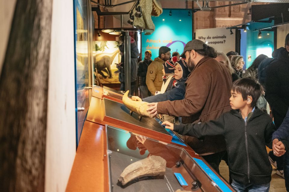 London: Natural History Museum Private Guided Family Tour - Getting Into the Museum When Entry Is Free