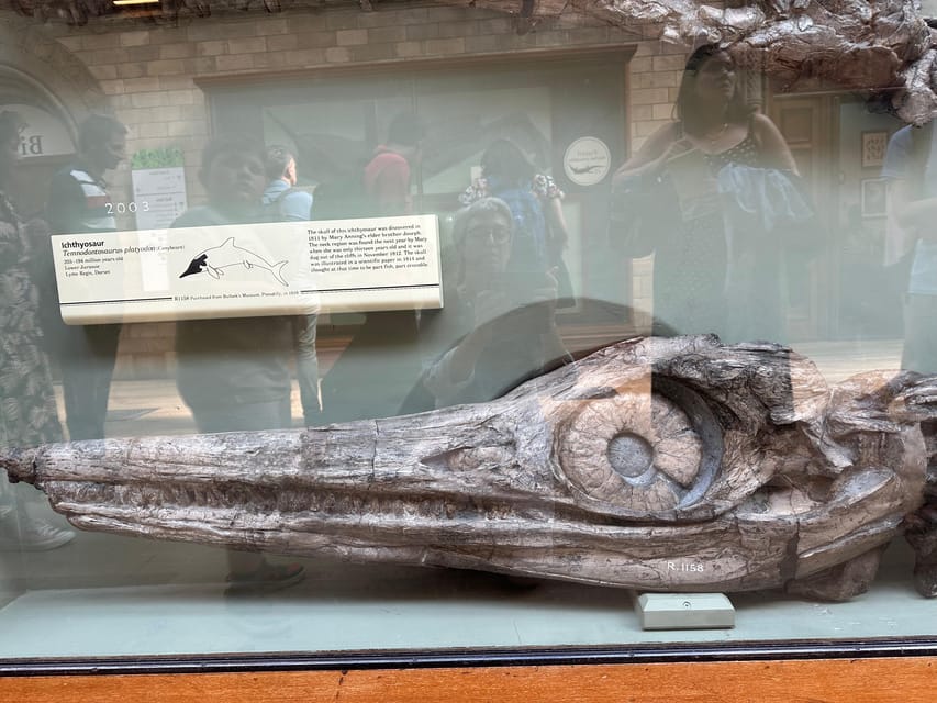 London: Natural History Museum Private Guided Tour - Who This Tour Fits Best (And Who Might Want Something Else)