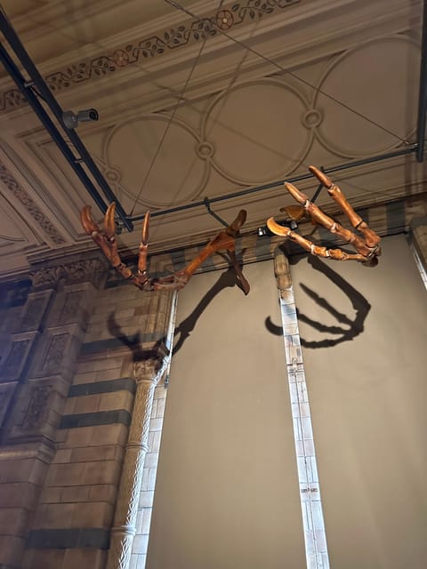 London: Natural History Museum Private Guided Tour - Dinosaurs: T-Rex, Triceratops, and the Story of Reign and Extinction