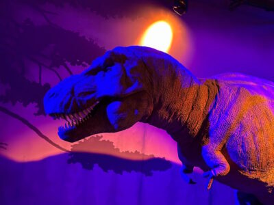 London: Natural History Museum Private Guided Tour - The Two-Hour Structure: Dinosaurs, Then the Bigger Natural World