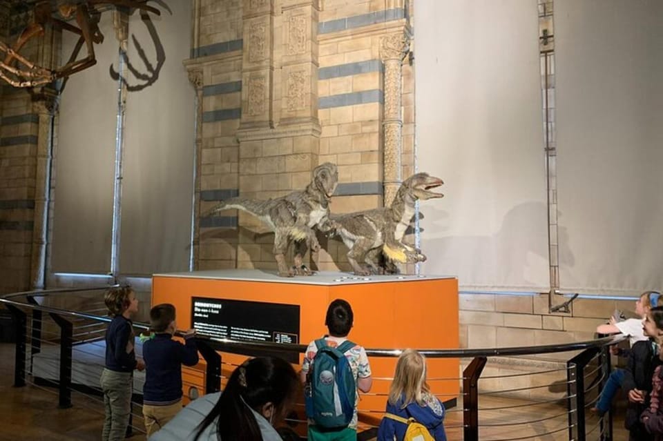 London: Natural History Museum Private Tour & Skip the line - The quieter stops: Blue Marlin, giraffes, and a 1500-year-old sequoia