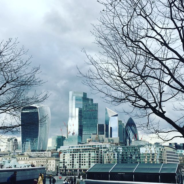 London: Private Intro Walk with a Local Guide - Route reality: starting near Canada Gate and ending at Tower Bridge