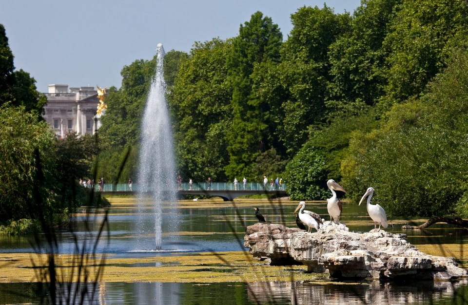London: Royal Walking Tour with Guard Change & Royal Mews - St James’s Park and Wellington Barracks: Where the City Feels Like a Royal Stage