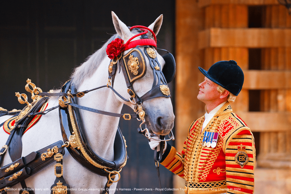 London: Royal Walking Tour with Guard Change & Royal Mews - The Changing of the Guard Moment: What It Adds and What Timing Means
