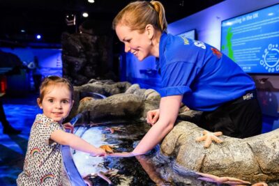 London: SEA LIFE Entry Ticket - Walking the 14 themed zones across three floors