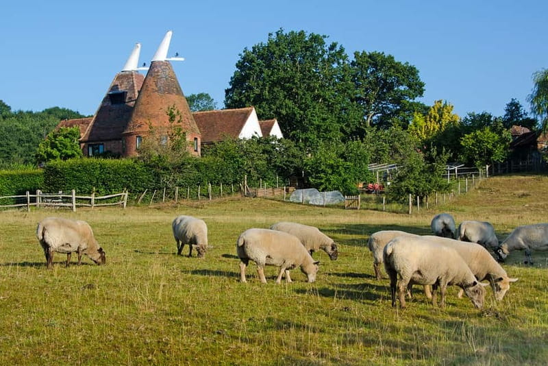 London: Small Group Canterbury, Dover & Kent Villages Tour - Who this tour fits best (and who should skip it)