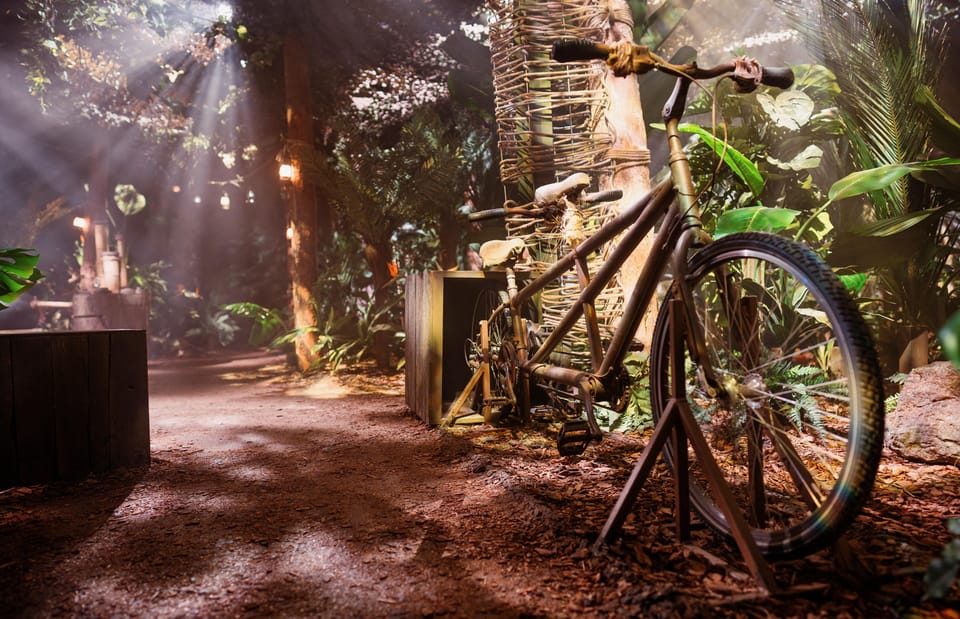 London: The Paddington Bear Experience - Who should book this (and who might want a different plan)