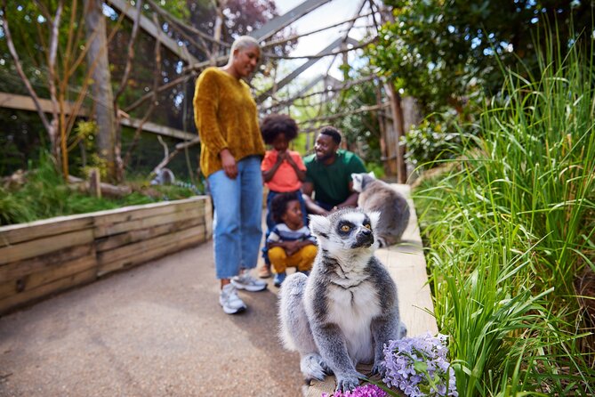 London Zoo Entry Ticket - Entering the Zoo and Finding Your Route Without Stress