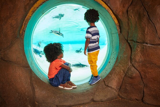 London Zoo Entry Ticket - Tiger Territory: Watching Behavior and Conservation Messaging
