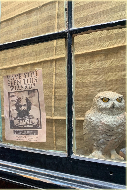 Magical Movies: London Harry Potter Tour - Key things to know before you go