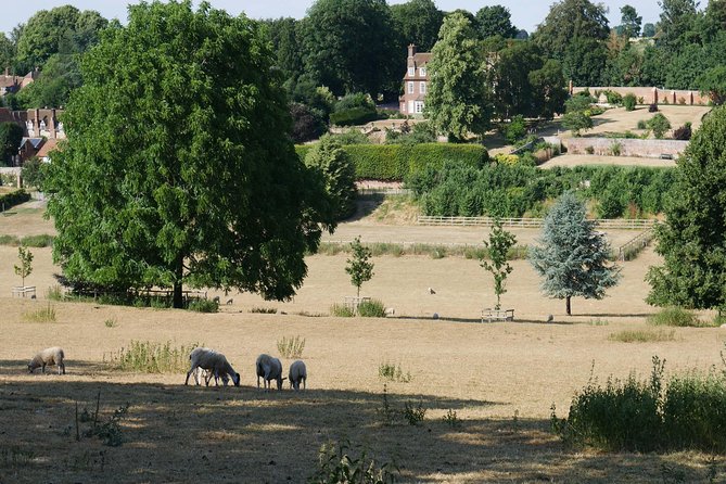 Midsomer Murders Tour from London - Price and logistics: is $118.06 good value?