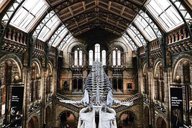 Natural History Museum London - Exclusive Guided Museum Tour - Why A Guided Route Beats Wandering the Natural History Museum
