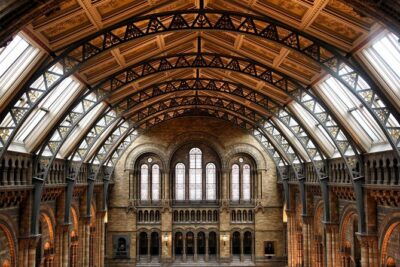 Natural History Museum London - Exclusive Guided Museum Tour - Entering the Museum Fast: Meeting at Cromwell Road
