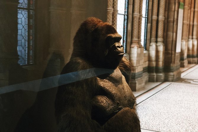 Natural History Museum London - Exclusive Guided Museum Tour - Stop 1: From the Planet’s Origins to Dinosaurs and Early Humans