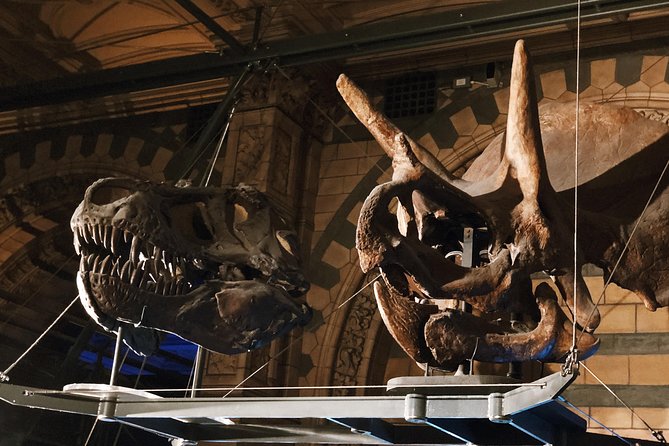 Natural History Museum London - Exclusive Guided Museum Tour - Beyond Dinosaurs: Fossils, Strange Science, and Theater-of-Discovery Stops