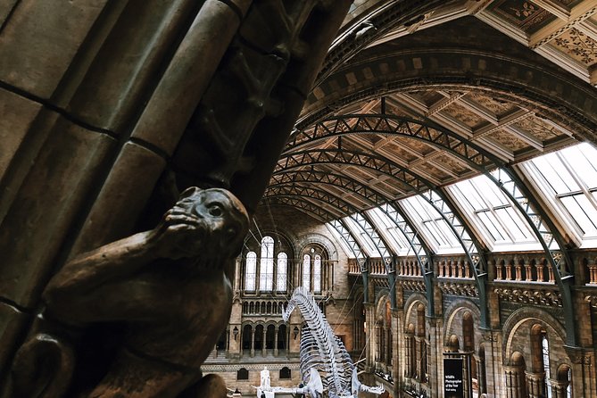 Natural History Museum London - Exclusive Guided Museum Tour - The Giant Sequoia Slice and the Museum’s Big Spaces