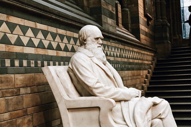 Natural History Museum London - Exclusive Guided Museum Tour - How Private (and Semi-Private) Changes Your Experience
