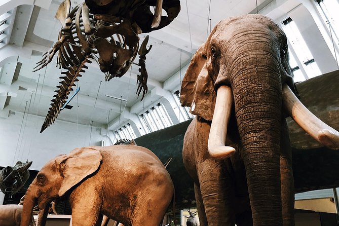 Natural History Museum London - Exclusive Guided Museum Tour - Price and Value: Is $108.49 per Person Fair?