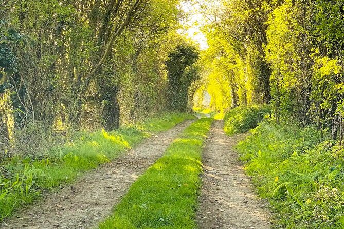 One Day Tour from London to The Cotswolds - The guide experience: what Adrian’s style adds