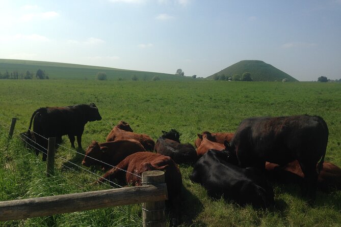 Private Archaeologist Guided Tour Stonehenge, Salisbury & Avebury - Silbury Hill: the engineering that shocks you even before you know the details