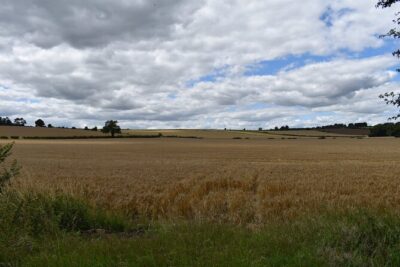 Private Day in the Cotswolds Tour - Cogges Manor Farm: Yew Tree Farm, pigs, and Downton Abbey on home turf