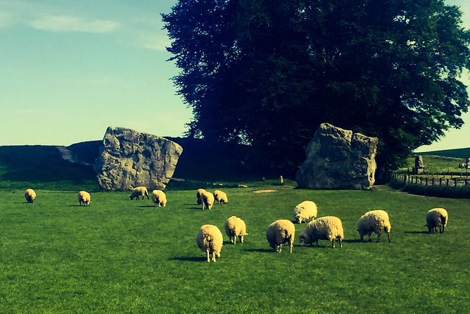 Private Day Tour to Bath, Avebury & The Cotswolds - Price and value: $1,513.71 per group and what that means