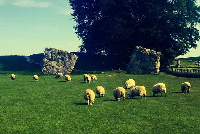 Private Day Tour to Bath, Avebury & The Cotswolds - Guides matter: why Christian and Will Shipley show up in the praise