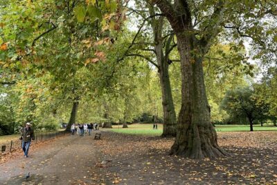 Private Guided Tour of London Landmarks - English or Italian - The 3-Hour Loop: What the Timing Feels Like