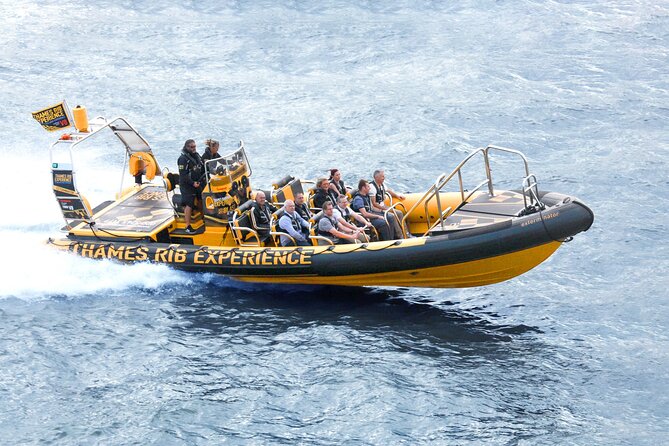PRIVATE HIRE 45 min Speedboat Tour - Embankment/Westminster Pier - Tower Bridge: The Commentated Speed Run You’ll Remember